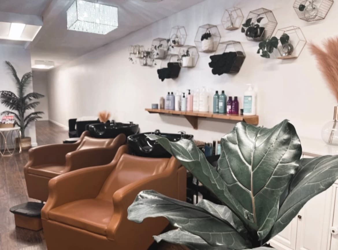 The Ivy salon shampoo lounge